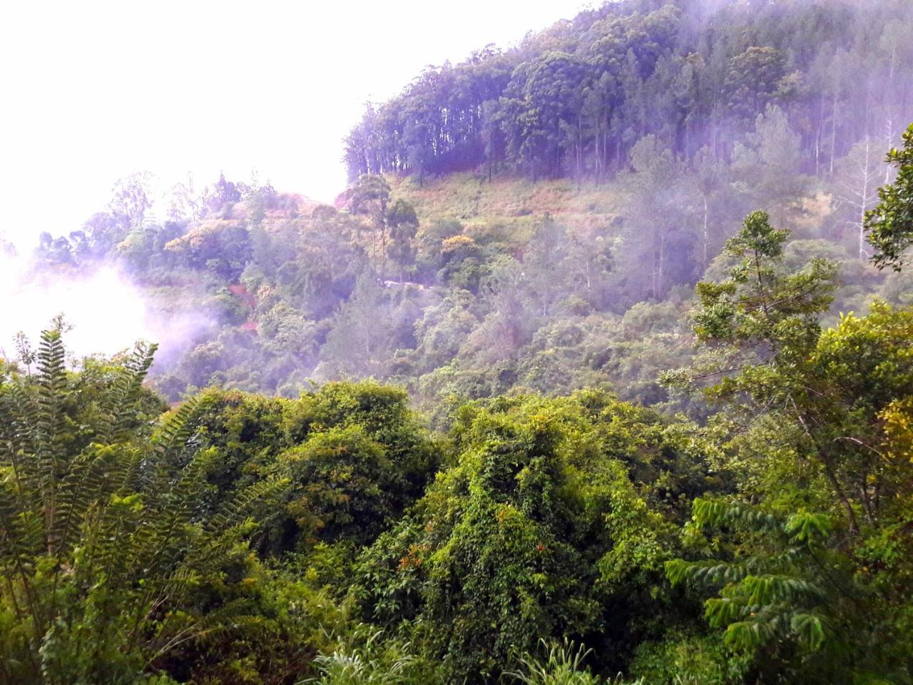 Green Paradise Ела Екстериор снимка